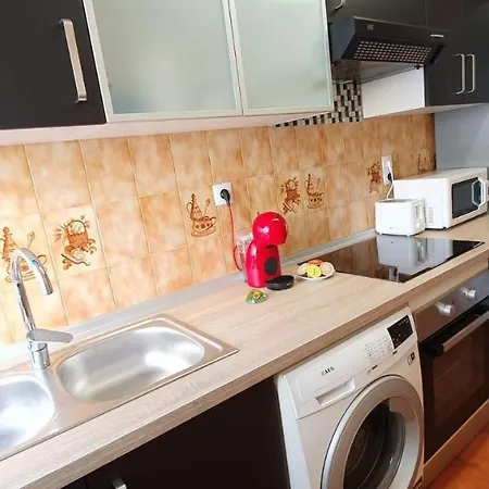 Encantadora Vivienda En El Paseo Maritimo De Appartamento *